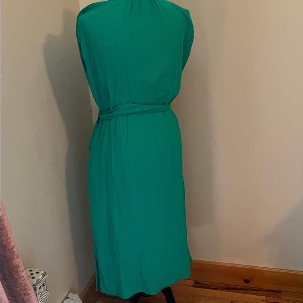 GAP Green Buttoned Midi Dress - Picture 4 of 8